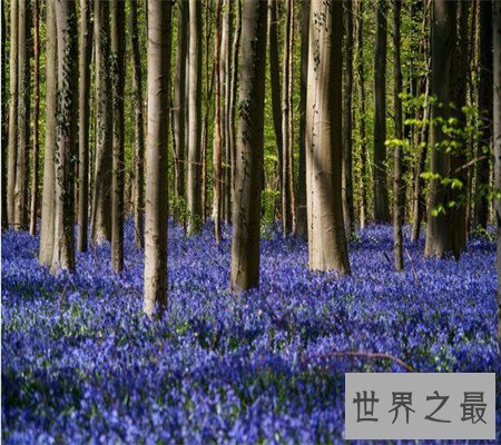 世界十大童话美景，梦幻的场景是你的最爱吗？