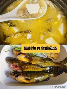 ​昂刺鱼怎么炖汤？教程来了，加点豆腐和白蘑菇，真的鲜到眉毛掉下来！