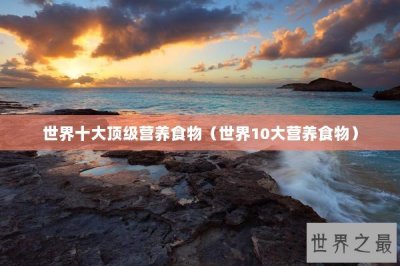 ​世界十大顶级营养食物（世界10大营养食物）
