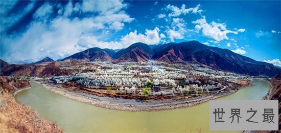 中国最佳赏花十大圣地,这些地方就是花的天堂!