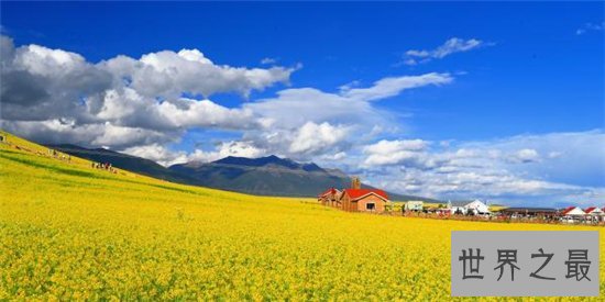 中国最佳赏花十大圣地,这些地方就是花的天堂!