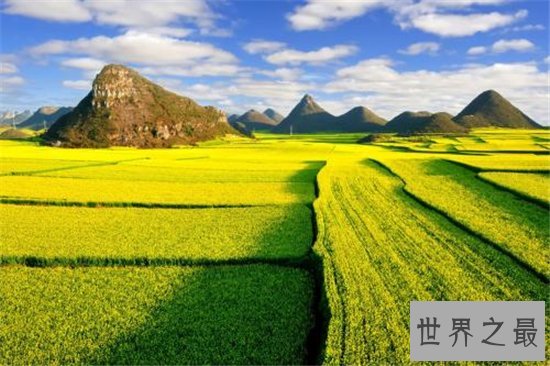 中国最佳赏花十大圣地,这些地方就是花的天堂!