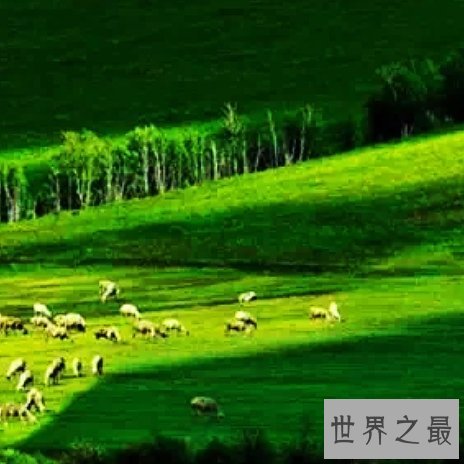 中国最适合洗肺的十大城市排行榜,纯天然氧吧你值得拥有。