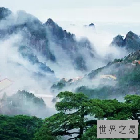 中国最适合洗肺的十大城市排行榜,纯天然氧吧你值得拥有。