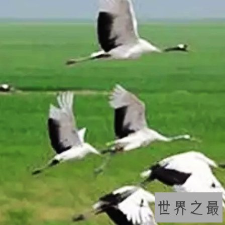 中国最适合洗肺的十大城市排行榜,纯天然氧吧你值得拥有。