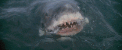 最大的鲨鱼(鲨鱼究竟能长多大?史上最大的鲨鱼经常被渔民误捕,而且出海就死)