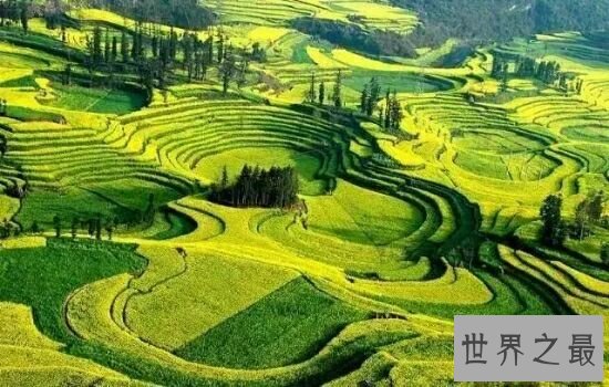 清明小长假国内十大踏春胜地，假期就该去旅行。