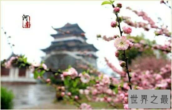 清明小长假国内十大踏春胜地，假期就该去旅行。