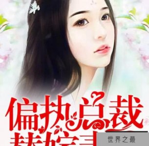 ​言情小说排行榜 好看的总裁小说推荐