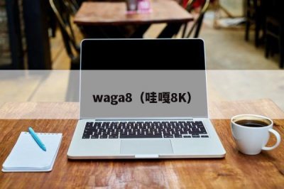 waga8(哇嘎8K)