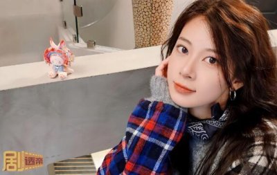 ​赵昭仪演过什么电视剧