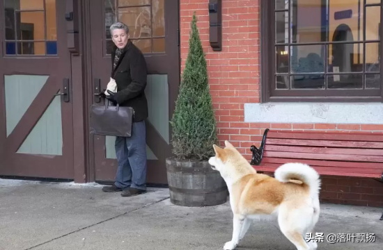 讲述狗狗的电影有哪些（16部狗狗的经典电影推荐）