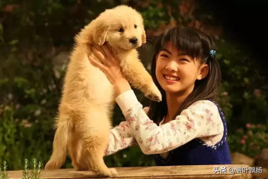 讲述狗狗的电影有哪些（16部狗狗的经典电影推荐）