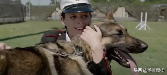 讲述狗狗的电影有哪些（16部狗狗的经典电影推荐）