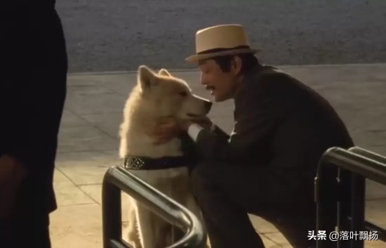 讲述狗狗的电影有哪些（16部狗狗的经典电影推荐）