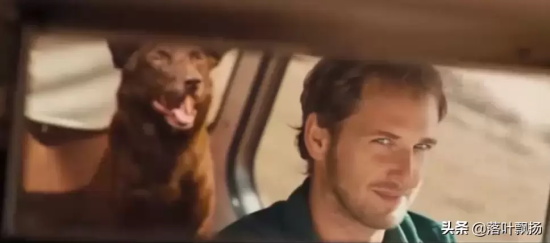 讲述狗狗的电影有哪些（16部狗狗的经典电影推荐）