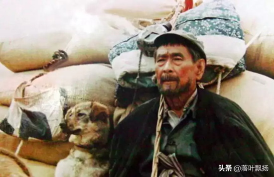 讲述狗狗的电影有哪些（16部狗狗的经典电影推荐）