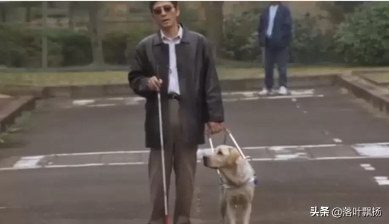 讲述狗狗的电影有哪些（16部狗狗的经典电影推荐）