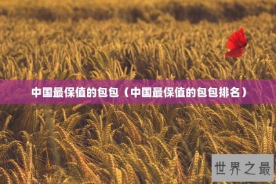 ​中国最保值的包包（中国最保值的包包排名）