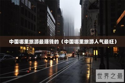 ​中国哪里旅游最赚钱的（中国哪里旅游人气最旺）
