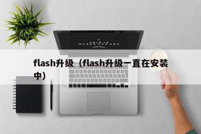 flash升级(flash升级一直在安装中)