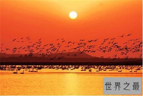 中国五大淡水湖中鄱阳湖最大,洪泽湖居然是人造湖