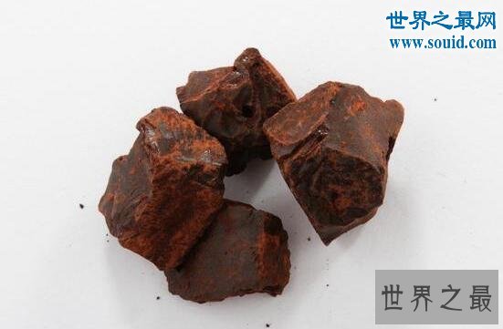 最奇特的树,千年树妖龙血树(会流血)