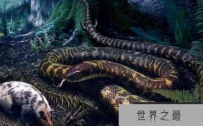 ​远古最可怕的三大巨蛇，在恐龙时代横行无阻