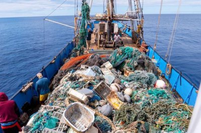 ​清除垃圾(清除垃圾人口计划)