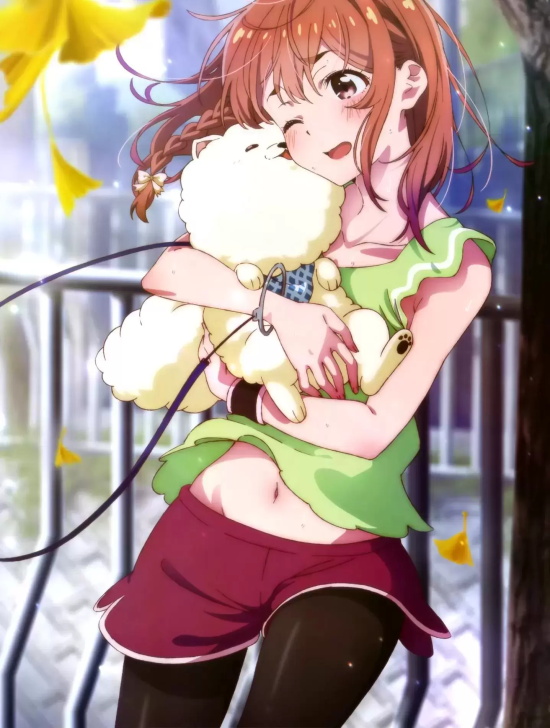 好看的后宫番动漫有哪些(6部高分后宫番动漫推荐)