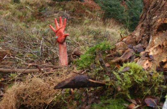 欧美悬疑惊悚电影有哪些(盘点三部欧美高分悬疑惊悚电影)