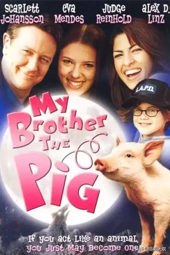 关于猪的电影有哪些(盘点十部有关猪的经典电影)