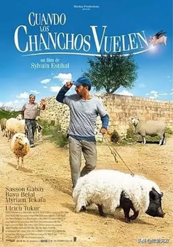 关于猪的电影有哪些(盘点十部有关猪的经典电影)