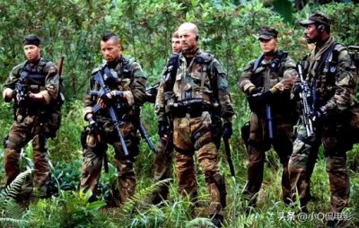 经典丛林动作电影有哪些(盘点十部丛林动作片)