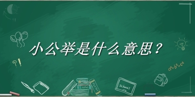 小公举是什么意思？