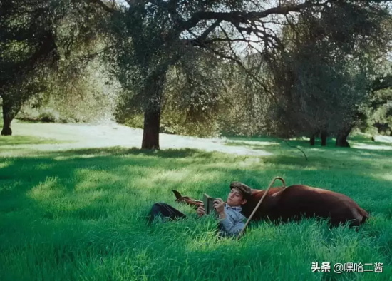 必看的体育题材电影有哪些(九部值得看的高分体育电影推荐)