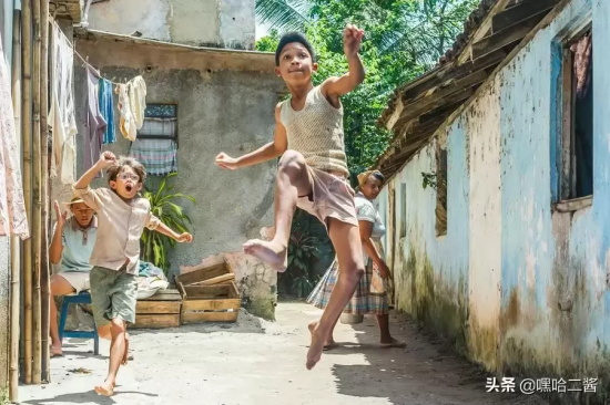 必看的体育题材电影有哪些(九部值得看的高分体育电影推荐)