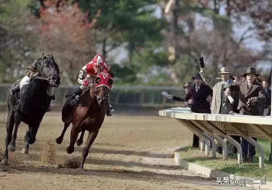 必看的体育题材电影有哪些(九部值得看的高分体育电影推荐)