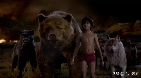 奇幻冒险类的电影有哪些名字(5部高分奇幻冒险题材电影推荐)