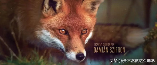 阿根廷高分黑色喜剧电影推荐:《荒蛮故事》