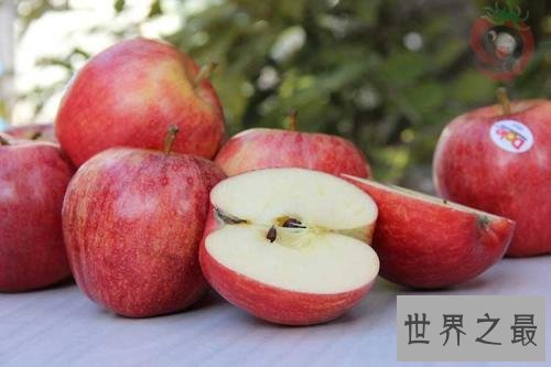 世界十大最甜水果,中国台湾释迦果排名第一!