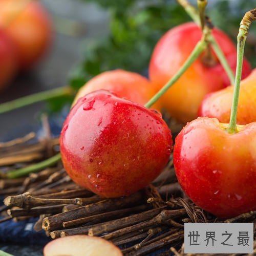 世界十大最甜水果,中国台湾释迦果排名第一!