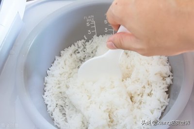 ​九阳厂址在哪里（九阳的厂址在什么地方）