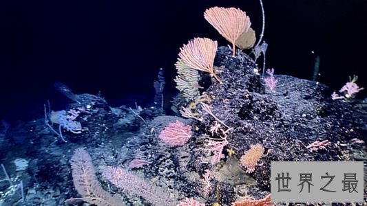 世界最低点,这条海沟深度高达10099米!