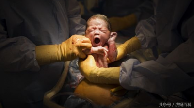 ​虎妈是什么意思（虎妈是什么意思英语）