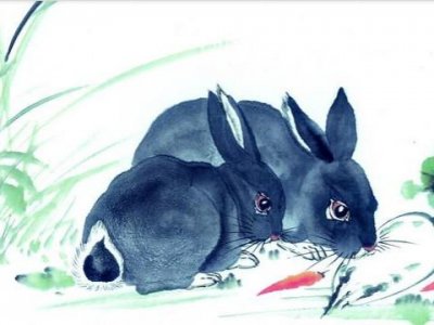 1999年属什么生肖(1999年属兔人一生命运)