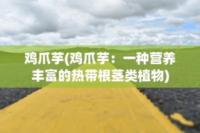 鸡爪芋(鸡爪芋:一种营养丰富的热带根茎类植物)