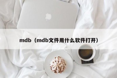 mdb(mdb文件用什么软件打开)