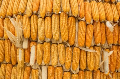 容重是什么意思(土壤容重是什么意思)