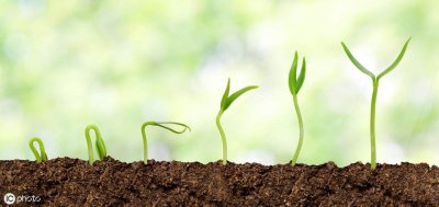 个人安全承诺书优秀范文模板